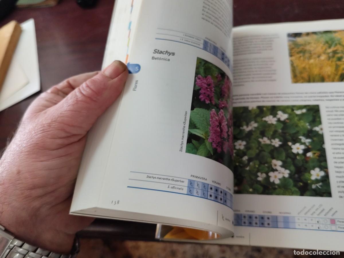 Libros de segunda mano: FLORES / ALAN TOOGOOD / PU-SA-5 / CIRCULO DE LECTORES - Foto 6