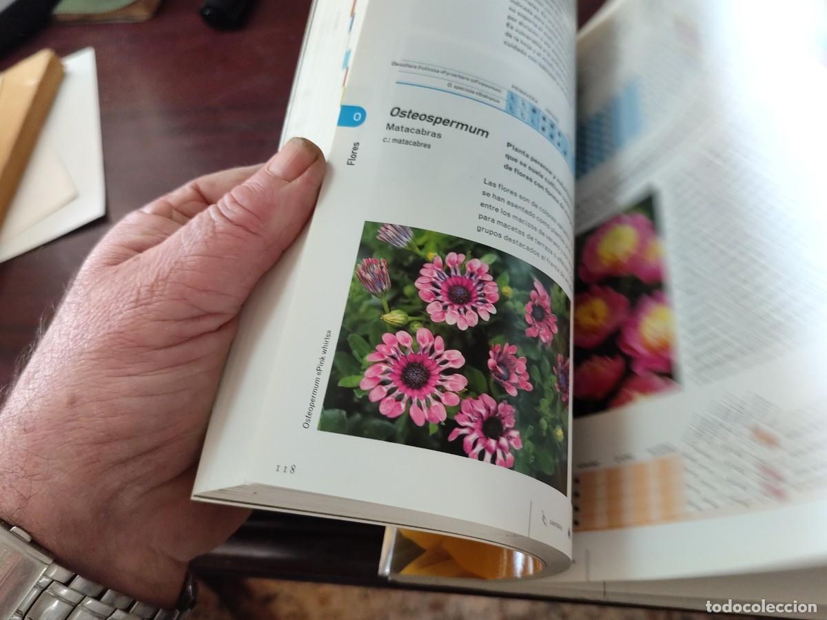 Libros de segunda mano: FLORES / ALAN TOOGOOD / PU-SA-5 / CIRCULO DE LECTORES - Foto 7
