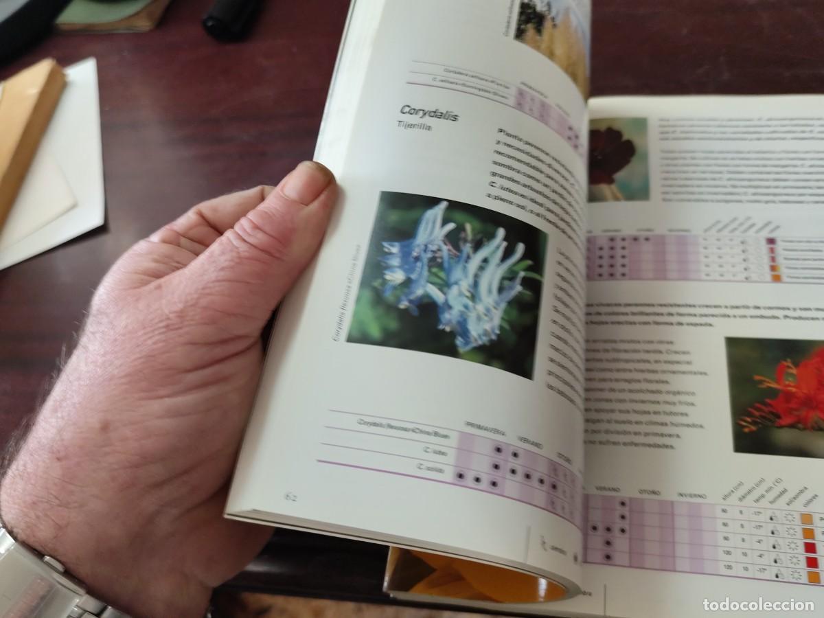 Libros de segunda mano: FLORES / ALAN TOOGOOD / PU-SA-5 / CIRCULO DE LECTORES - Foto 9