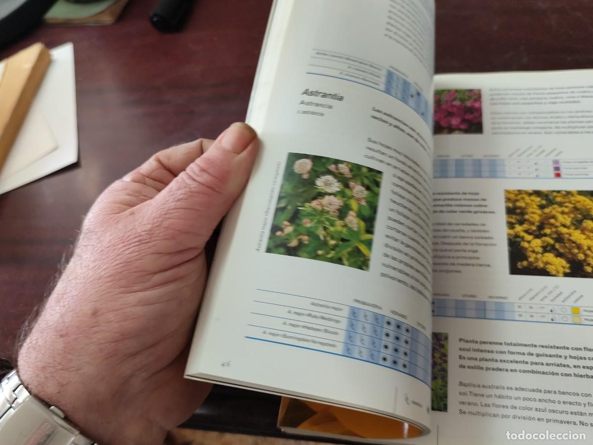Libros de segunda mano: FLORES / ALAN TOOGOOD / PU-SA-5 / CIRCULO DE LECTORES - Foto 10
