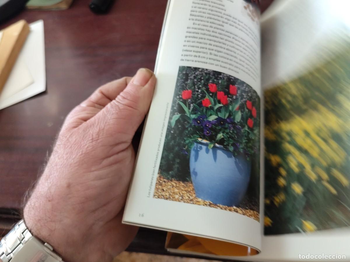 Libros de segunda mano: FLORES / ALAN TOOGOOD / PU-SA-5 / CIRCULO DE LECTORES - Foto 12
