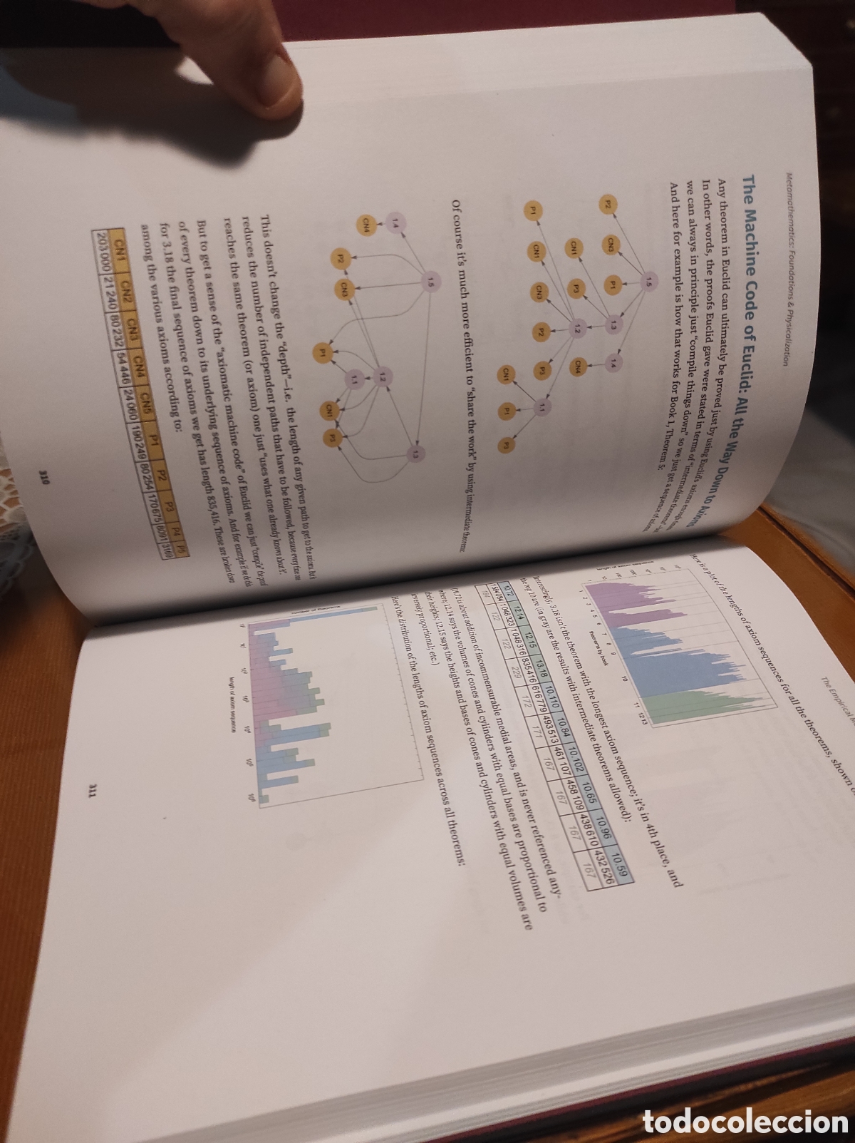 Libros de segunda mano de ciencias: Metamathematics: Foundations & Physicalization - Wolfram, Stephen - Foto 7