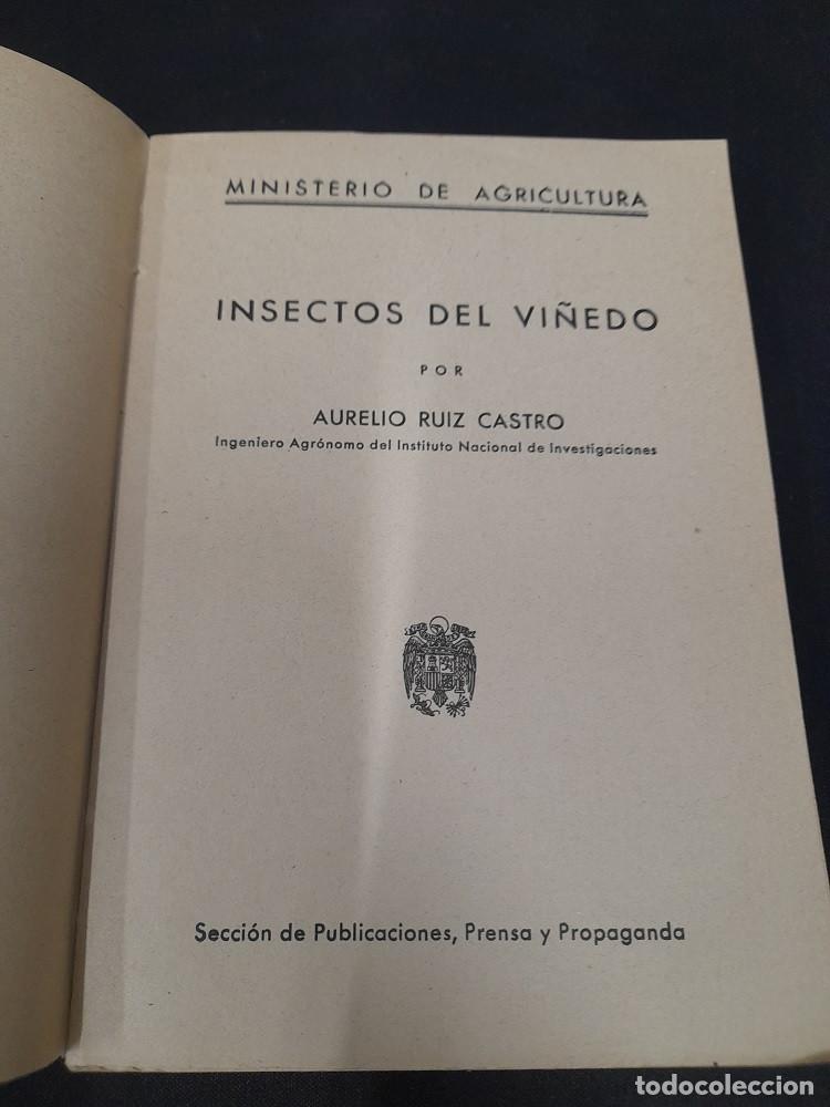 Libros de segunda mano: Insectos del Vi&ntilde;edo - Aurelio Ruiz Castro - Foto 2