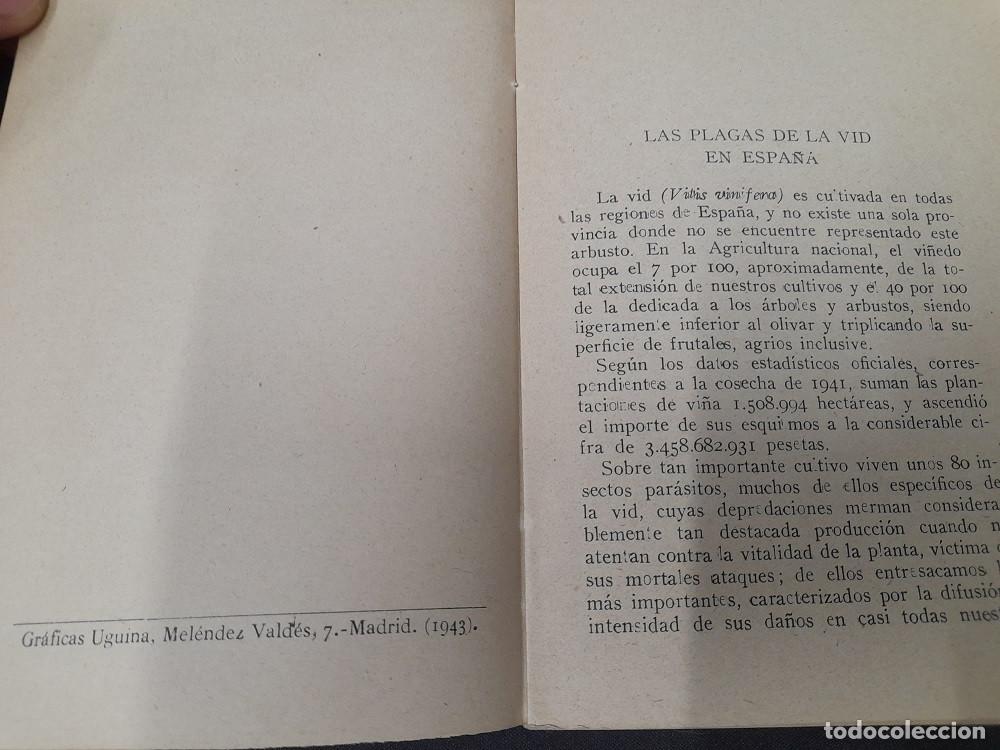 Libros de segunda mano: Insectos del Vi&ntilde;edo - Aurelio Ruiz Castro - Foto 3