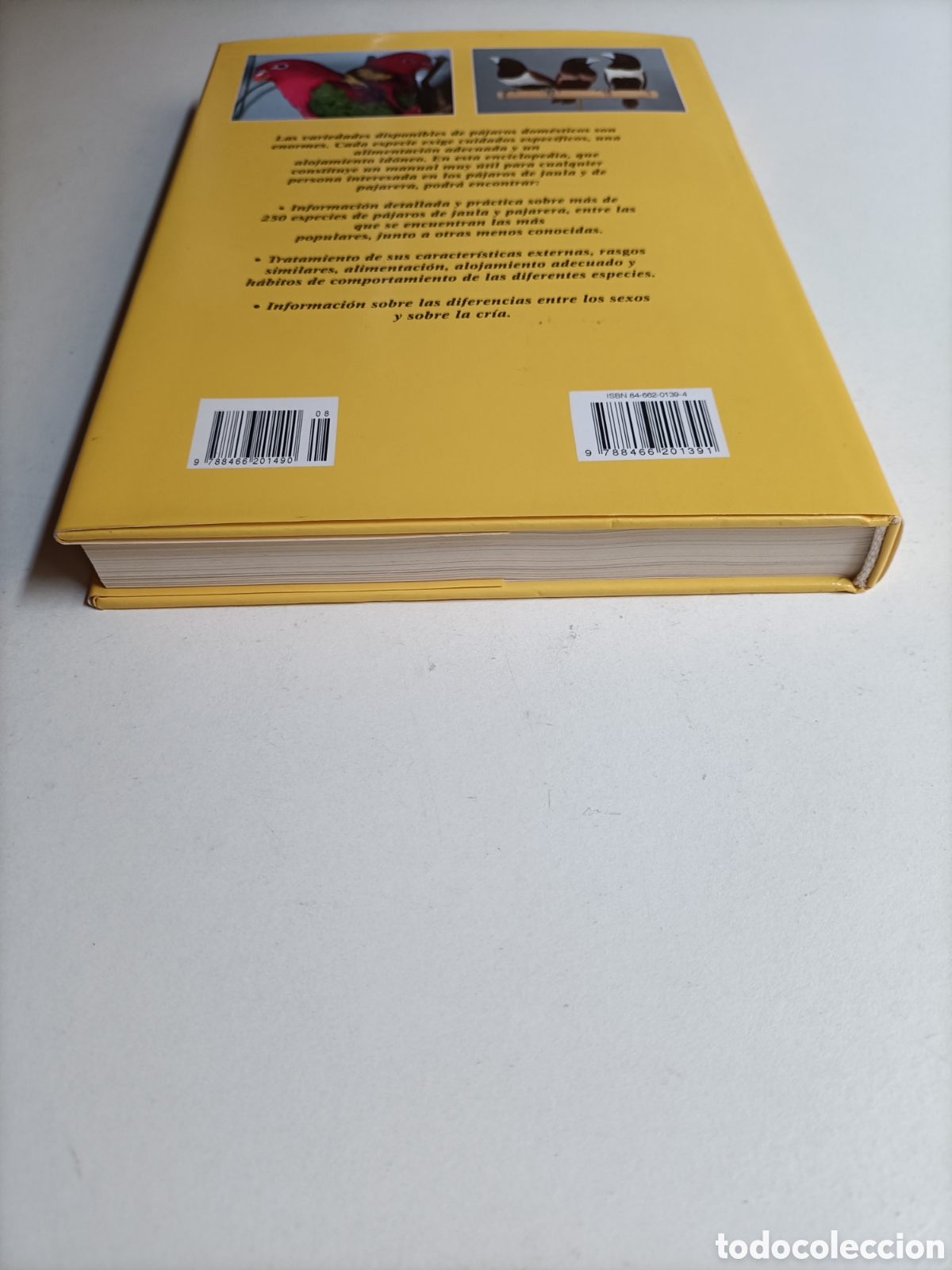 Libros de segunda mano: La enciclopedia de los p&aacute;jaros dom&eacute;sticos - Foto 5