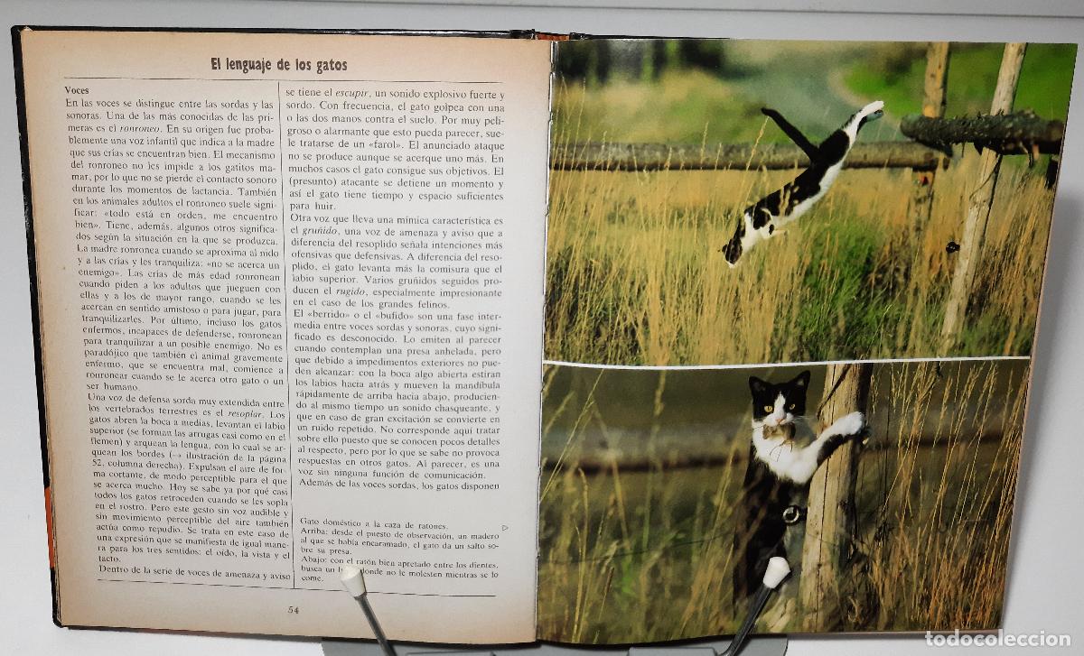 Libros de segunda mano: El nuevo libro del gato - Muller, Ulrike - Foto 3