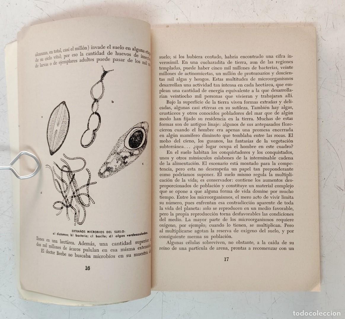Libros de segunda mano: La vida del suelo. Peter Farb - Foto 4