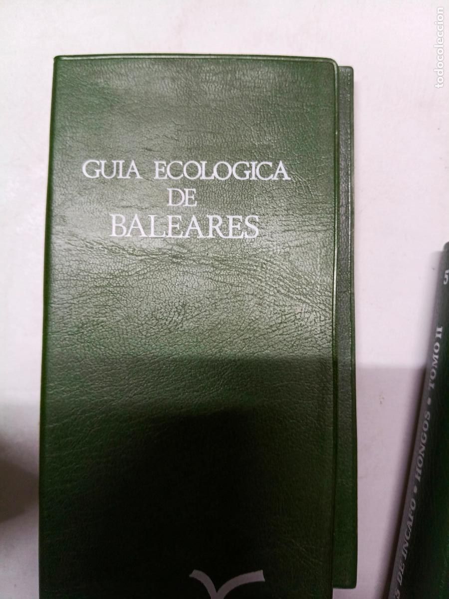 Libros de segunda mano: GU&Iacute;A ECOL&Oacute;GICA DE BALEARES (INCAFO, 1978)