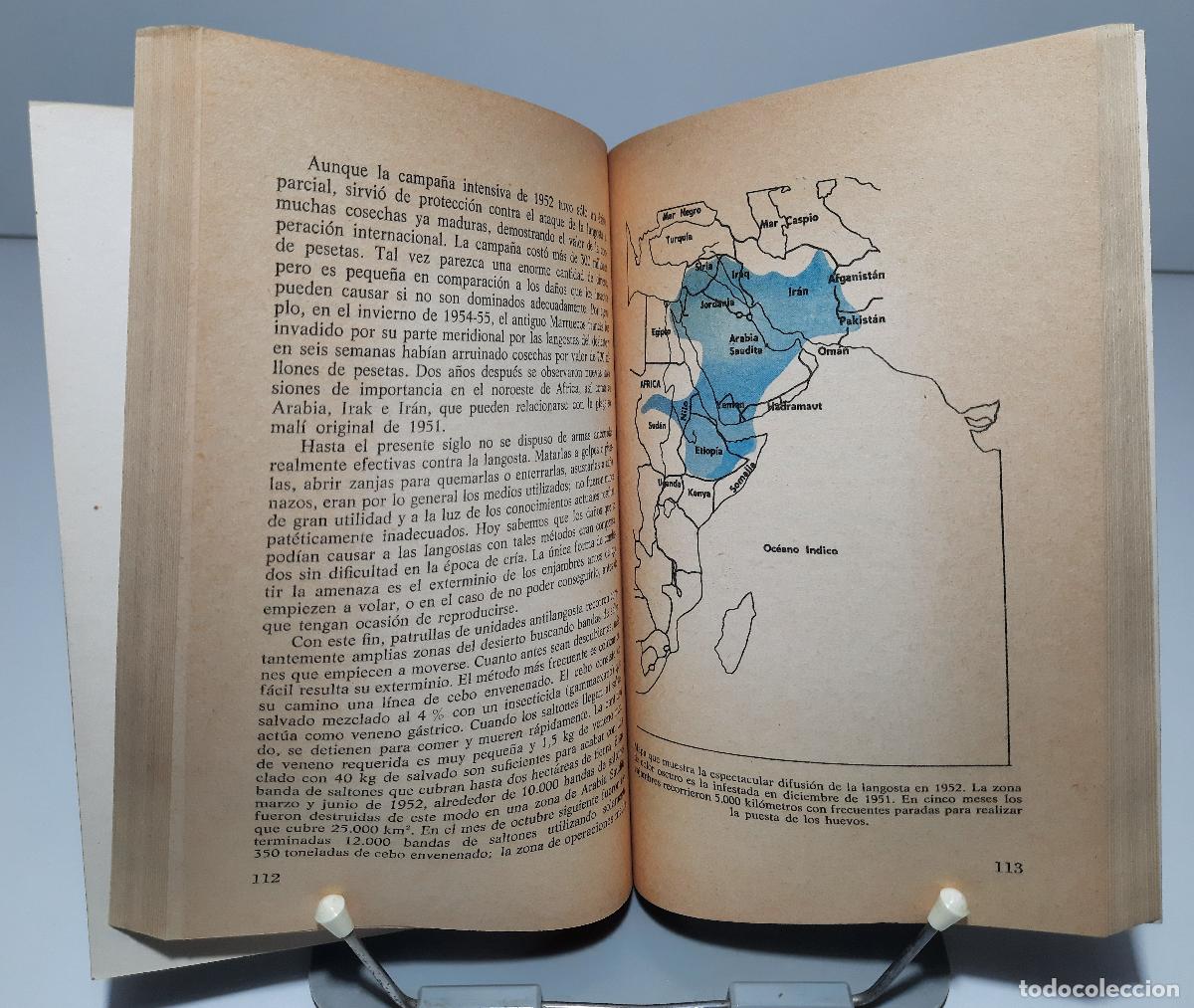 Libros de segunda mano: El mundo de los insectos - Hugh Newman, L. - Foto 2