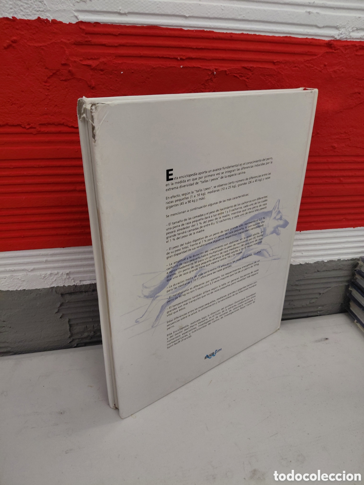 Libros de segunda mano: Enciclopedia del perro. Royal Canin. Tomos 1, 2 y 3 - Foto 3