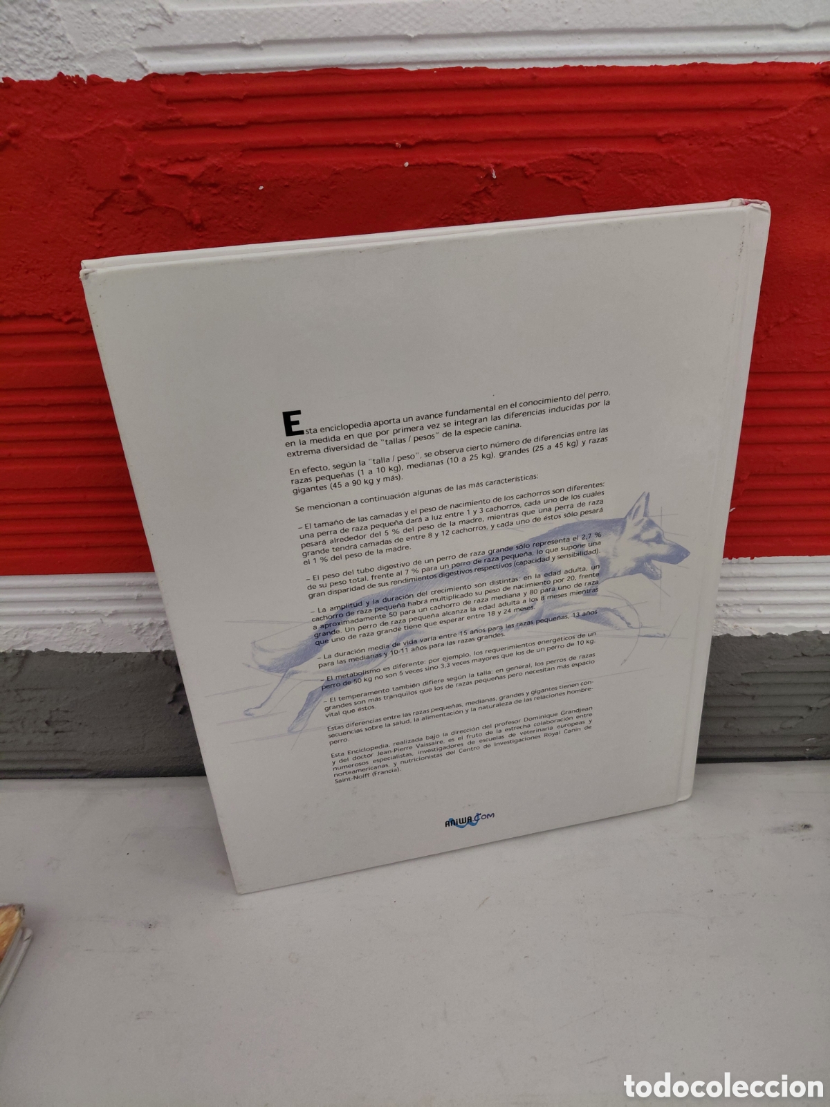 Libros de segunda mano: Enciclopedia del perro. Royal Canin. Tomos 1, 2 y 3 - Foto 5