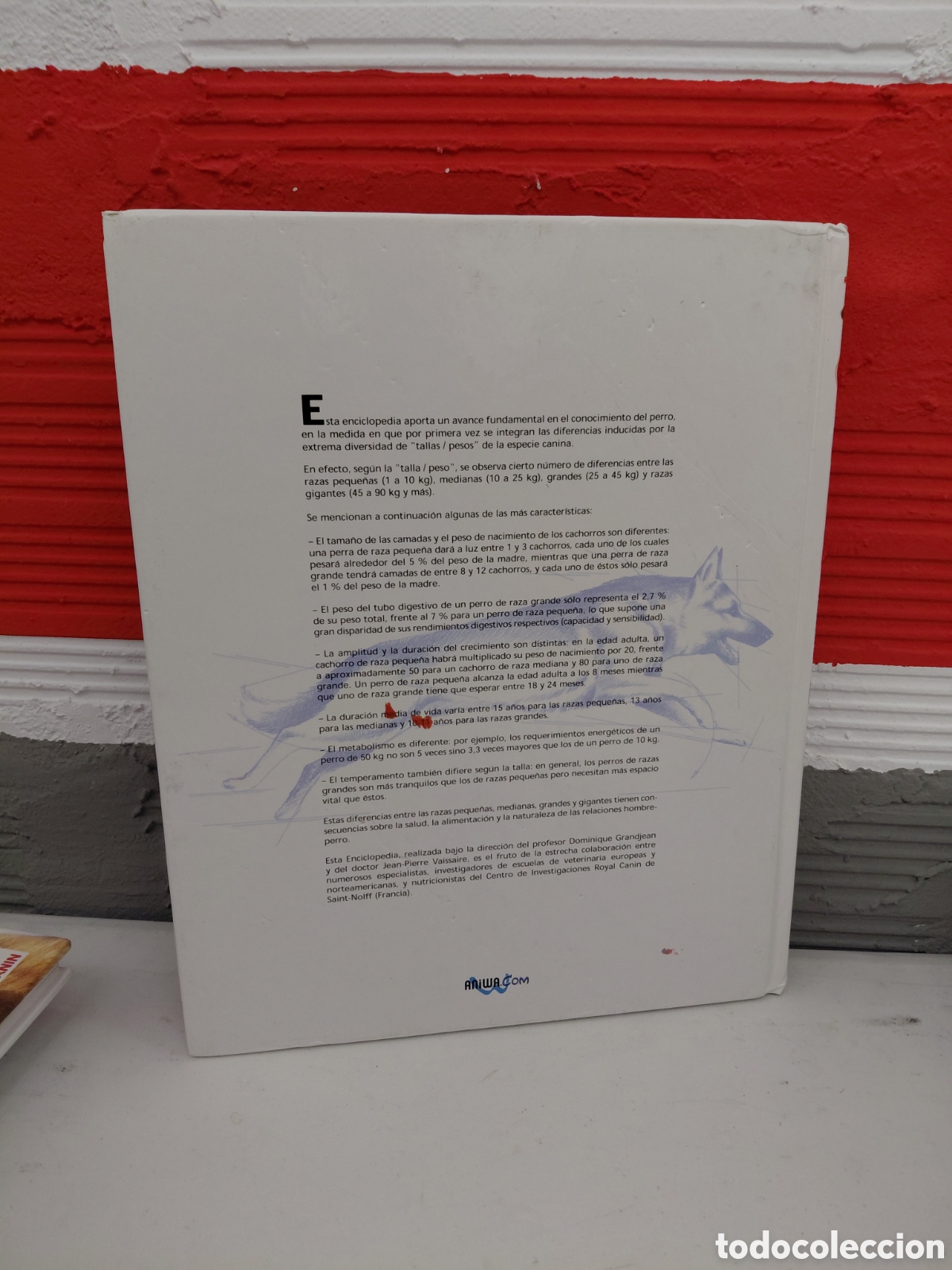 Libros de segunda mano: Enciclopedia del perro. Royal Canin. Tomos 1, 2 y 3 - Foto 7