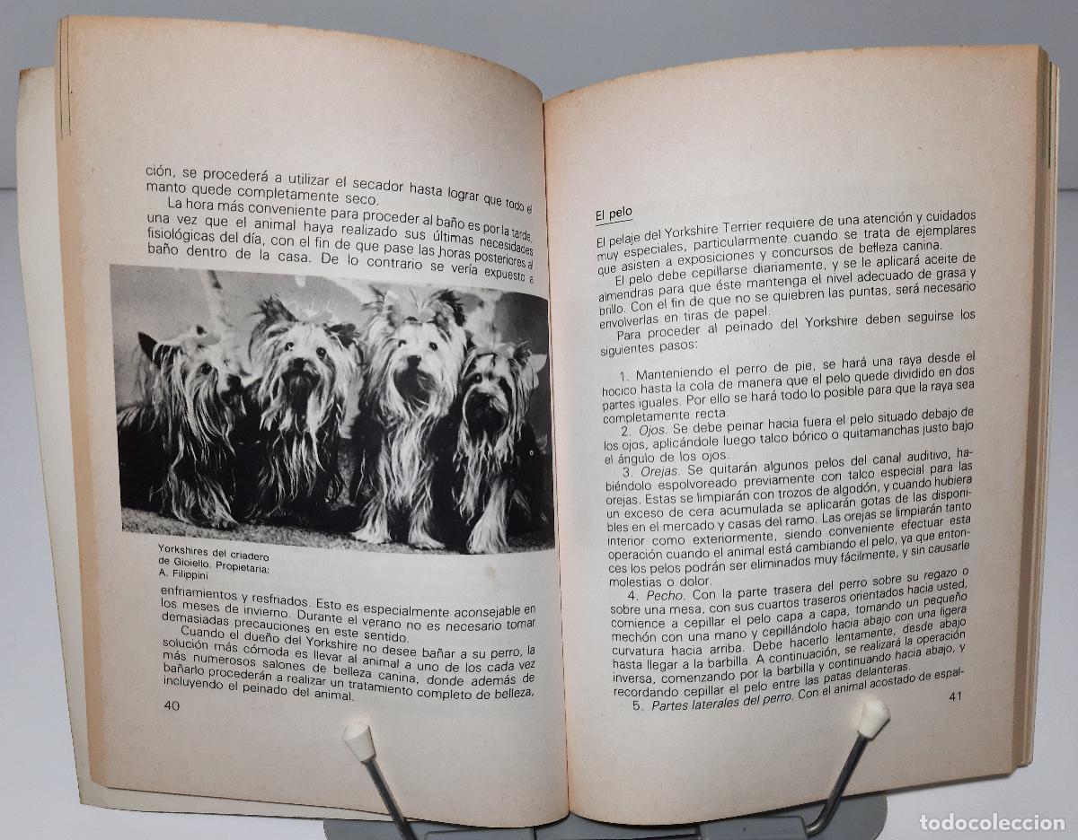Libros de segunda mano: El Yorkshire Terrier - Lopez, Guillermo - Foto 4