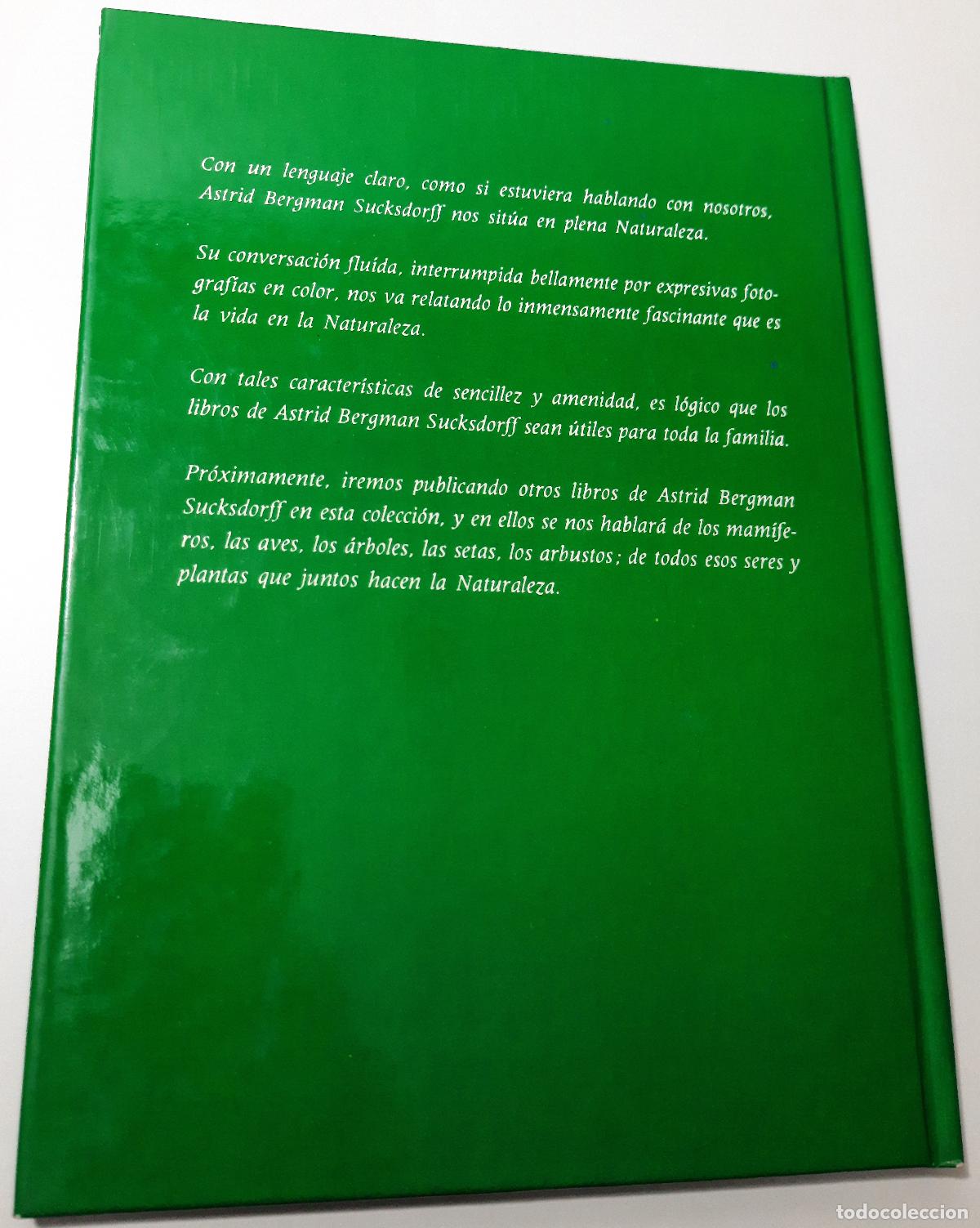 Libros de segunda mano: Pajaros - Bergman Sucksdorff, Astrid - Foto 3