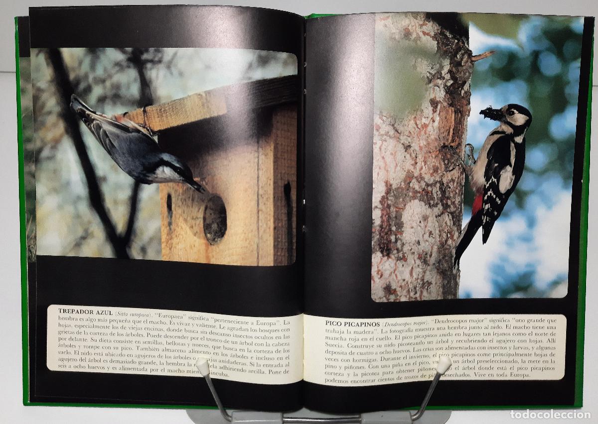 Libros de segunda mano: Pajaros - Bergman Sucksdorff, Astrid - Foto 4