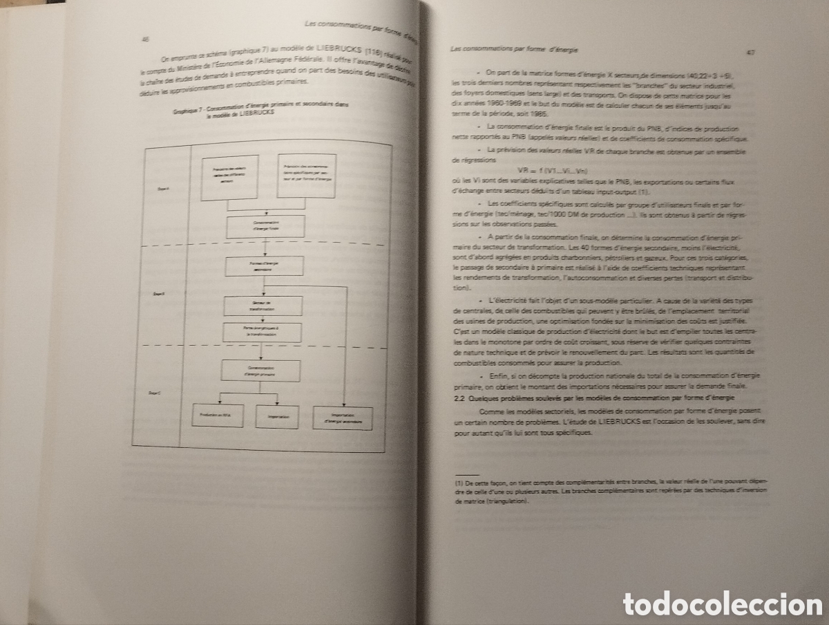 Libros de segunda mano de ciencias: LA DEMANDE DENERGIE. M&Eacute;TODES ET TECHNIQUES - J. GIROD - CNRS - 1977 - Foto 3