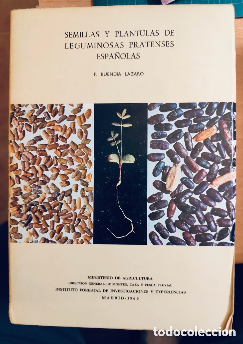 Libros de segunda mano: SEMILLAS Y PLANTULAS DE LEGUMINOSAS PRATENSES ESPA&Ntilde;OLAS. - Foto 1