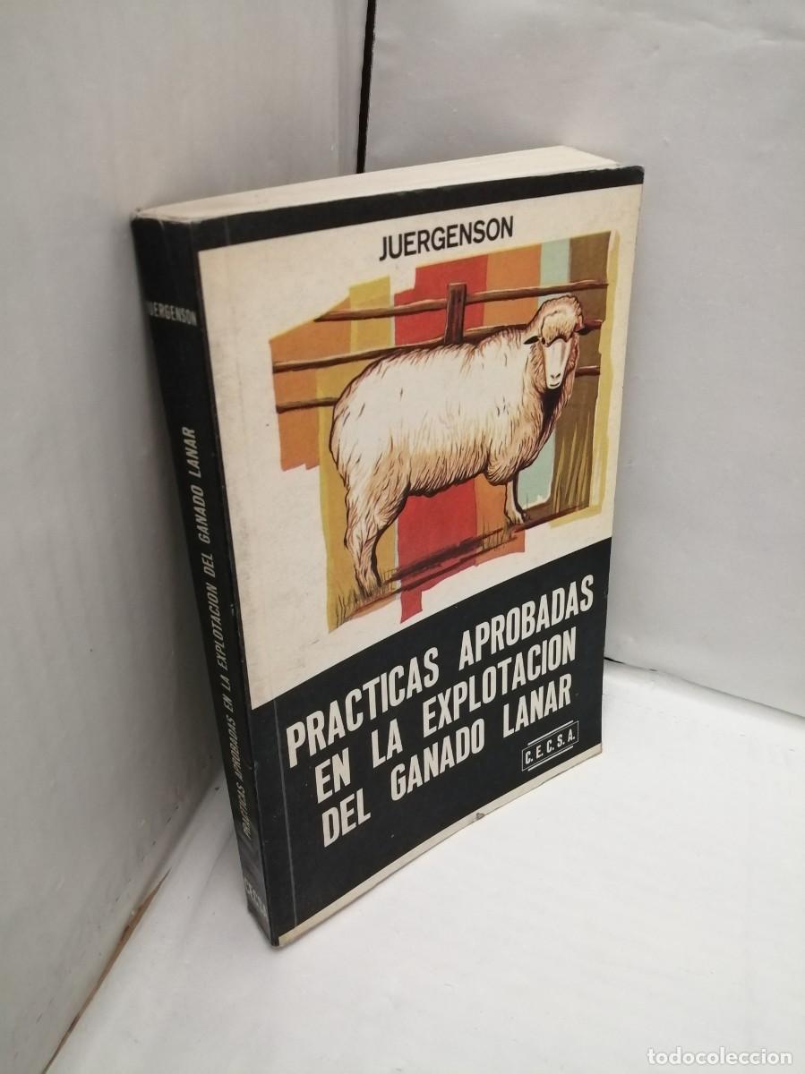 Libros de segunda mano: Pr&aacute;cticas Aprobadas en la Explotaci&oacute;n del Ganado Lanar - Foto 3