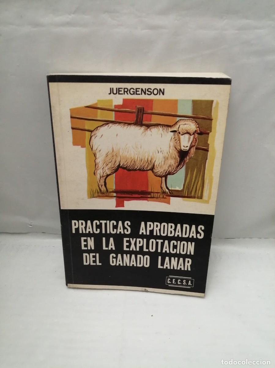 Libros de segunda mano: Pr&aacute;cticas Aprobadas en la Explotaci&oacute;n del Ganado Lanar - Foto 1