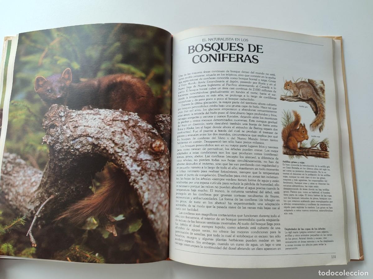 Libros de segunda mano: LIBRO GUIA DEL NATURALISTA GERALD DURRELL LEE DURRELL EDICI&Oacute;N 1982 - Foto 7