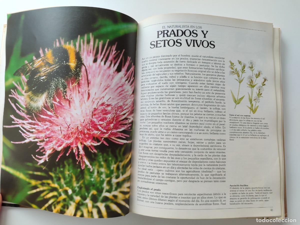 Libros de segunda mano: LIBRO GUIA DEL NATURALISTA GERALD DURRELL LEE DURRELL EDICI&Oacute;N 1982 - Foto 8