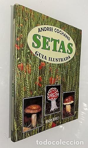 Libros de segunda mano: SETAS. Gu&iacute;a Ilustrada (Barcelona, 1997) - Foto 1