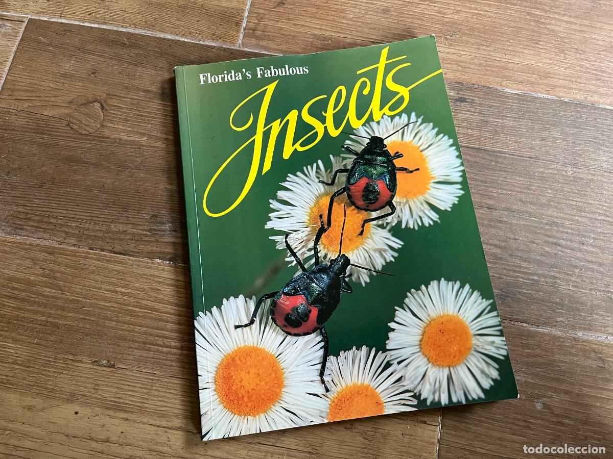Libros de segunda mano: INSECTOS - FLORIDA FABULOSA - en ingl&eacute;s - Foto 1