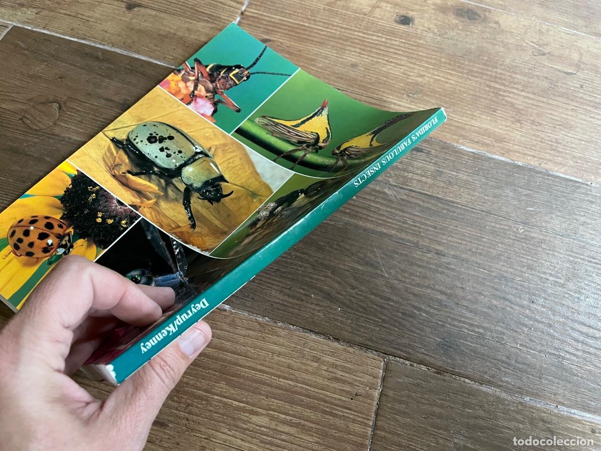 Libros de segunda mano: INSECTOS - FLORIDA FABULOSA - en ingl&eacute;s - Foto 2