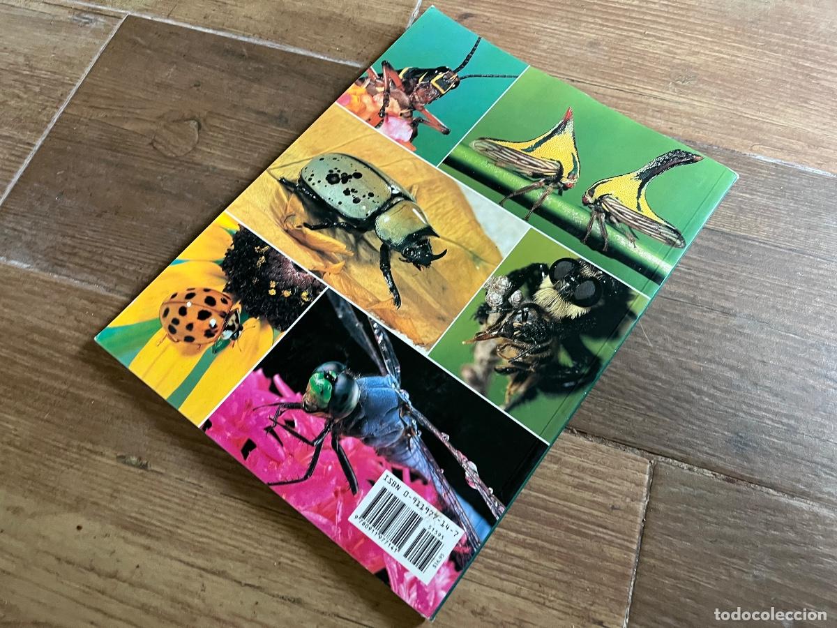 Libros de segunda mano: INSECTOS - FLORIDA FABULOSA - en ingl&eacute;s - Foto 3