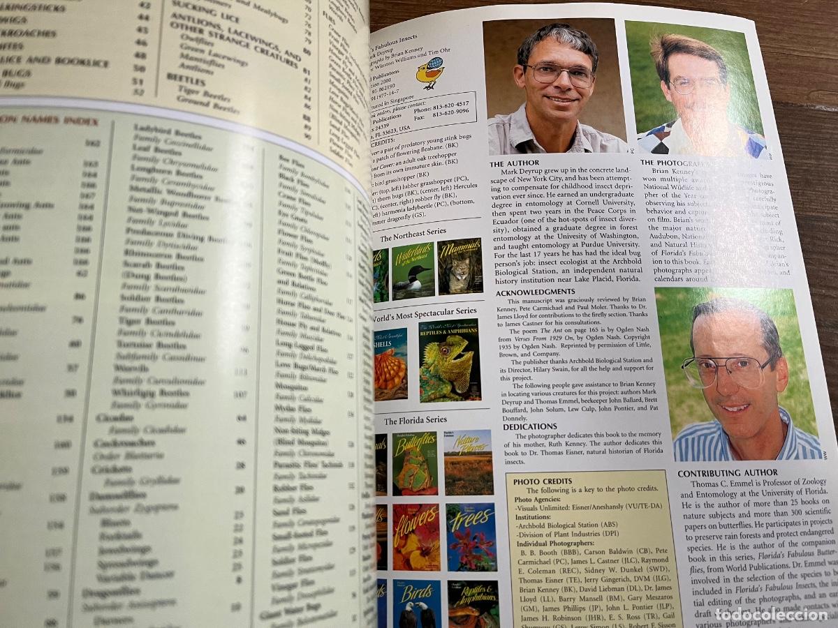 Libros de segunda mano: INSECTOS - FLORIDA FABULOSA - en ingl&eacute;s - Foto 7