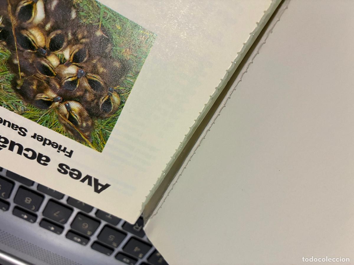 Libros de segunda mano: AVES ACUATICAS, GUIAS DE LA NATURALEZ BLUME - Foto 2