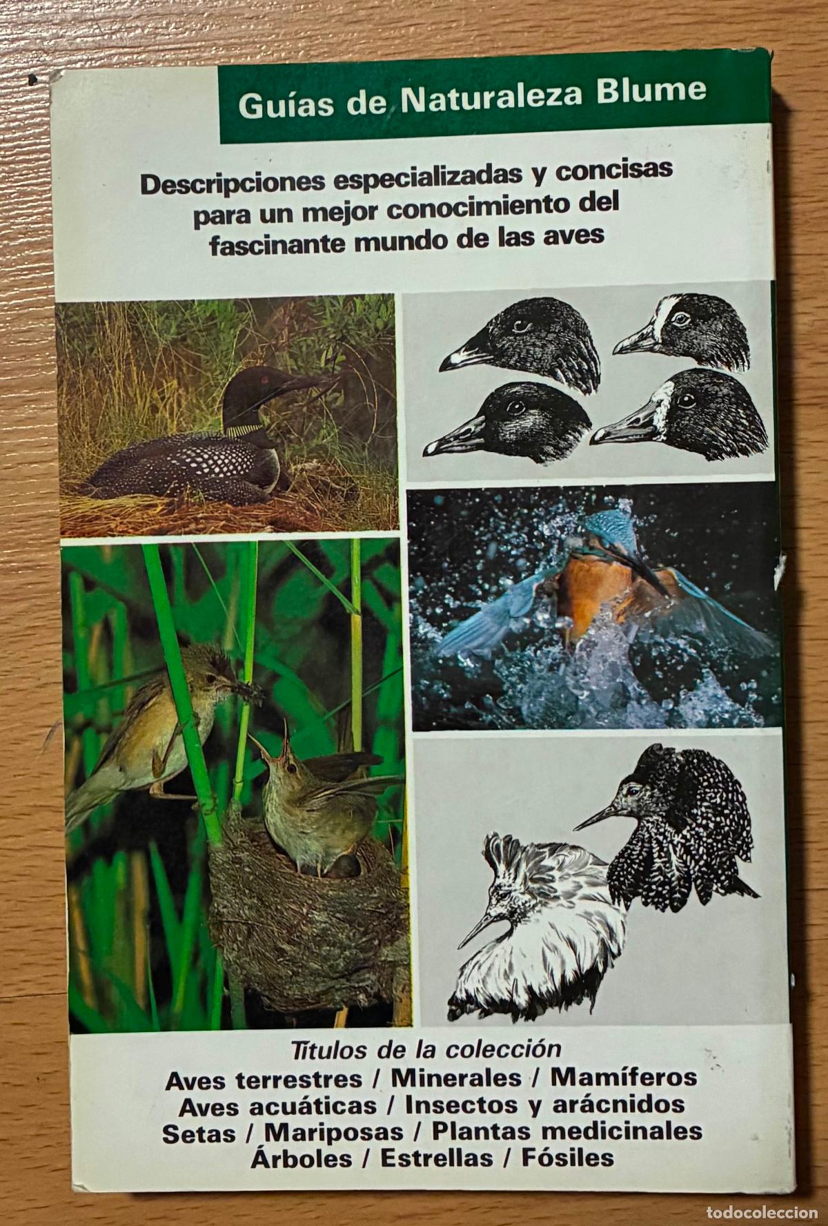 Libros de segunda mano: AVES ACUATICAS, GUIAS DE LA NATURALEZ BLUME - Foto 3