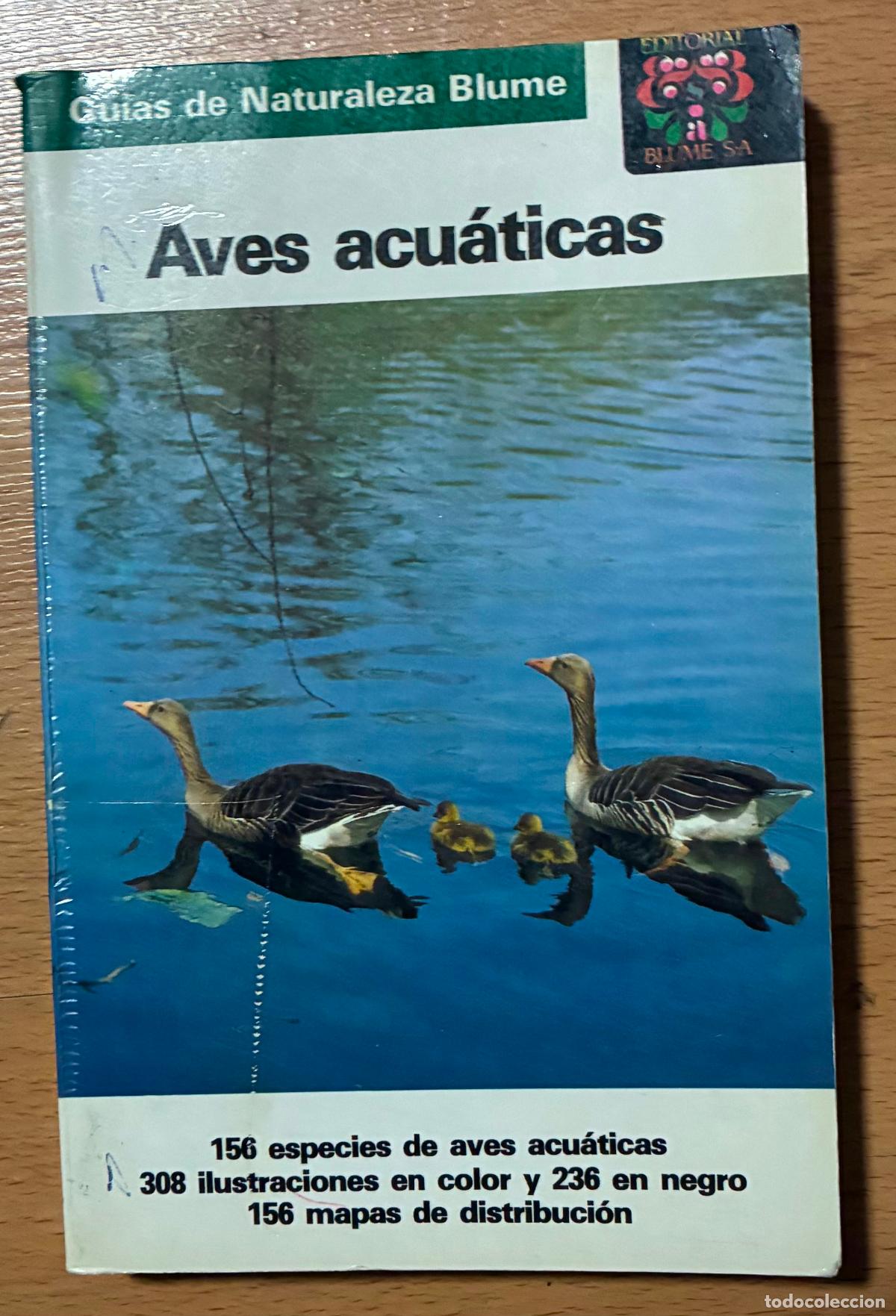 Libros de segunda mano: AVES ACUATICAS, GUIAS DE LA NATURALEZ BLUME - Foto 1