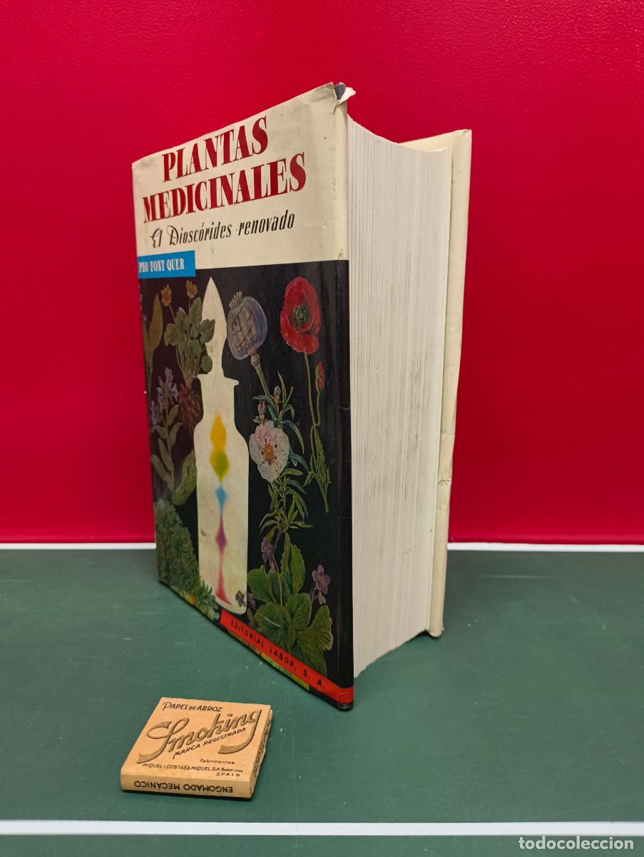 Libros de segunda mano: Plantas medicinales. El Diosc&oacute;rides renovado &ndash; P&iacute;o Font Quer - Foto 2
