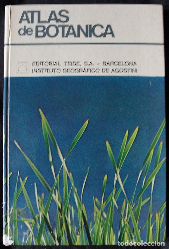 Libros de segunda mano: ATLAS DE BOTANICA - EDITORIAL TEIDE, 1973 - - Foto 1
