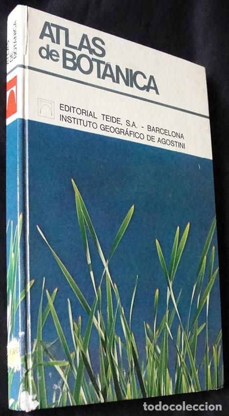 Libros de segunda mano: ATLAS DE BOTANICA - EDITORIAL TEIDE, 1973 - - Foto 2