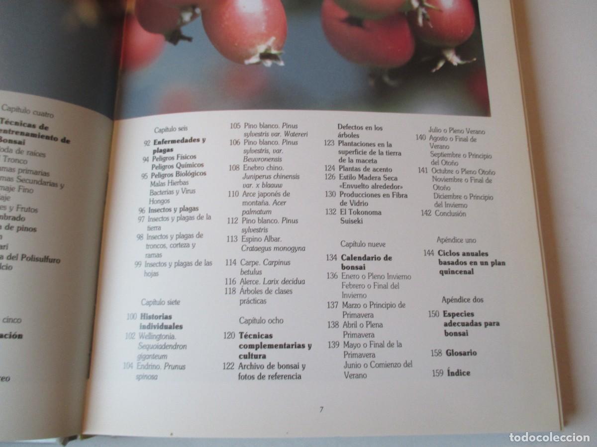 Libros de segunda mano: DAN BARTON El libro del bonsai W38682 - Foto 2