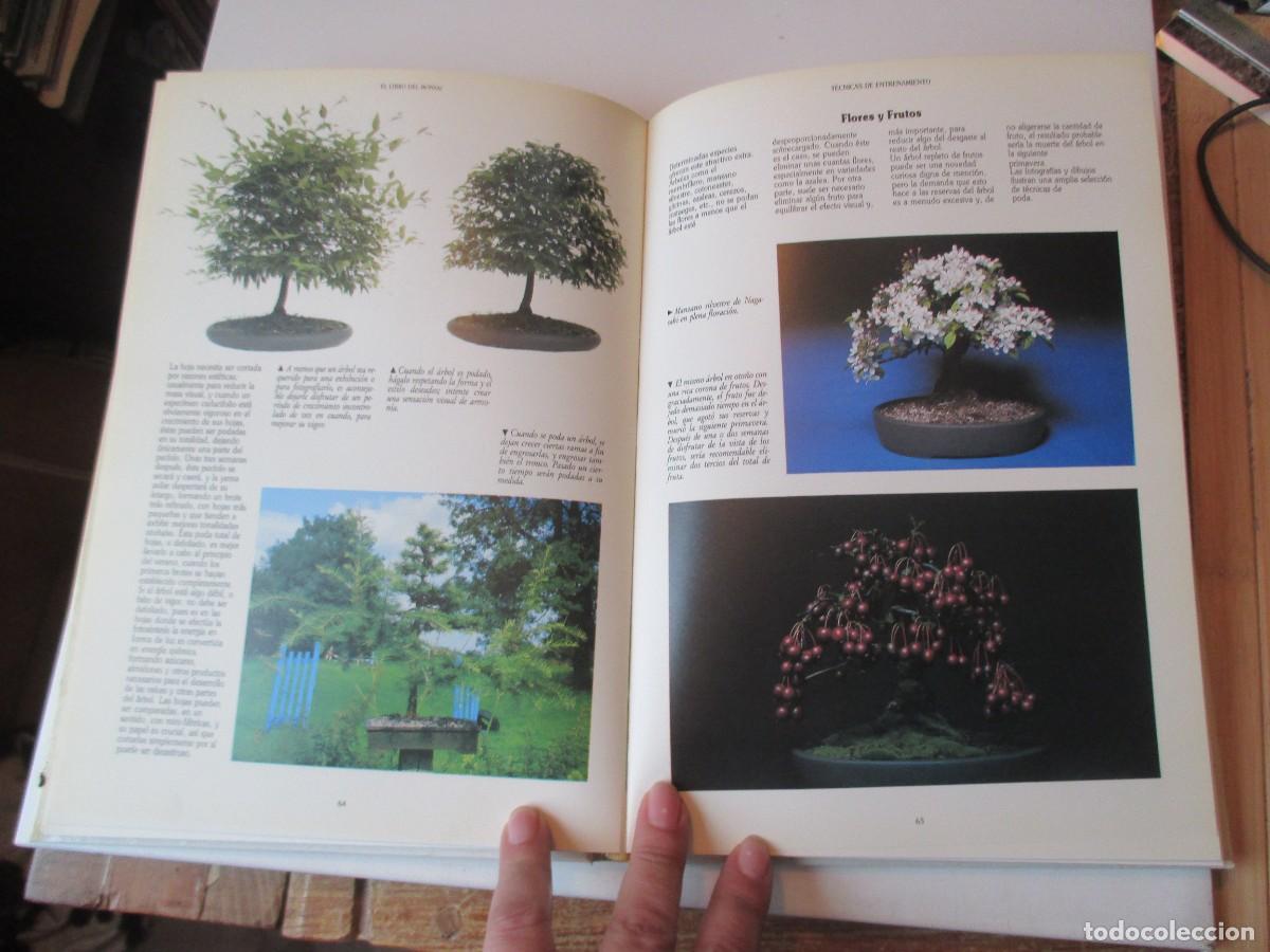 Libros de segunda mano: DAN BARTON El libro del bonsai W38682 - Foto 3