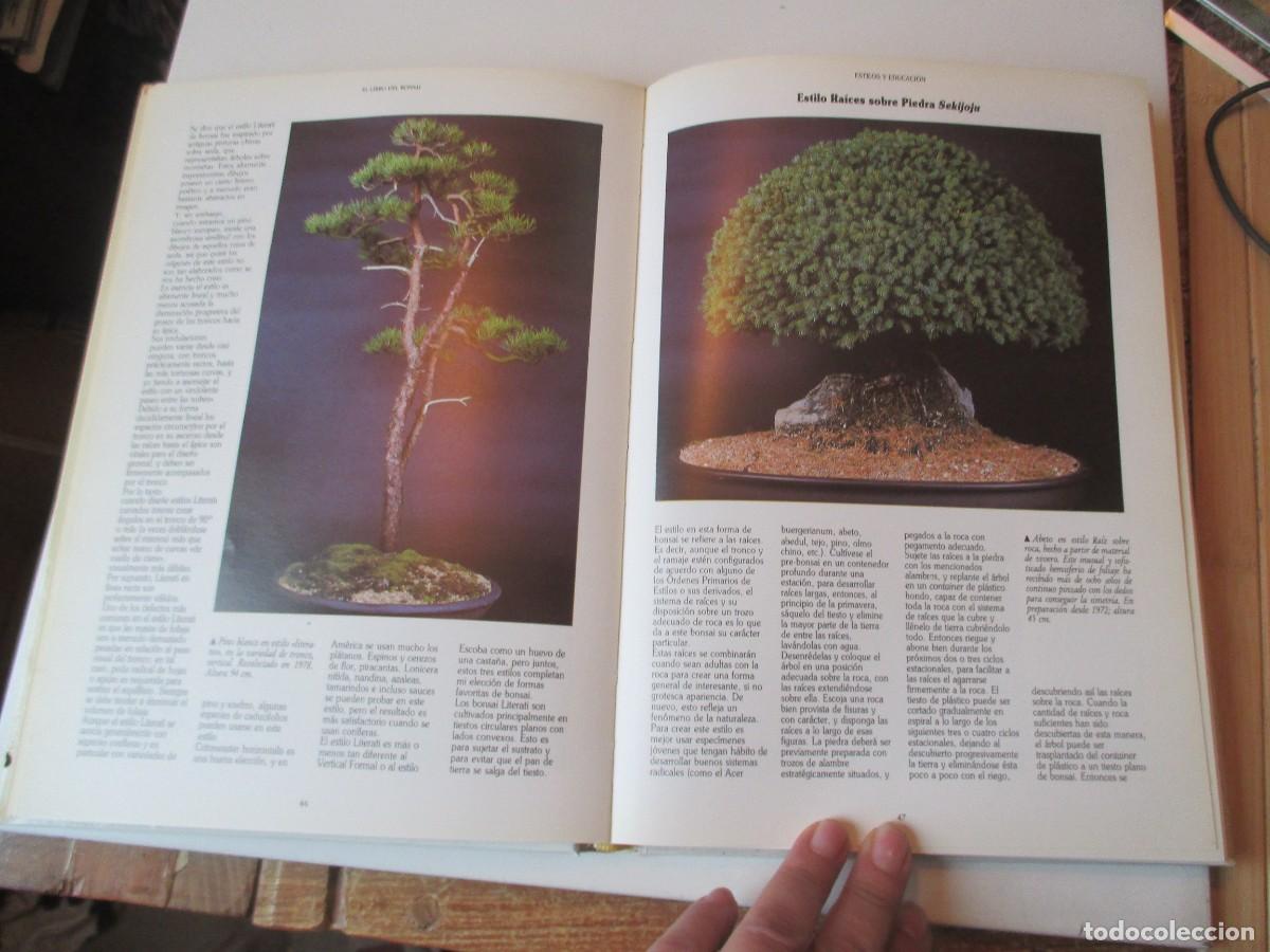 Libros de segunda mano: DAN BARTON El libro del bonsai W38682 - Foto 4