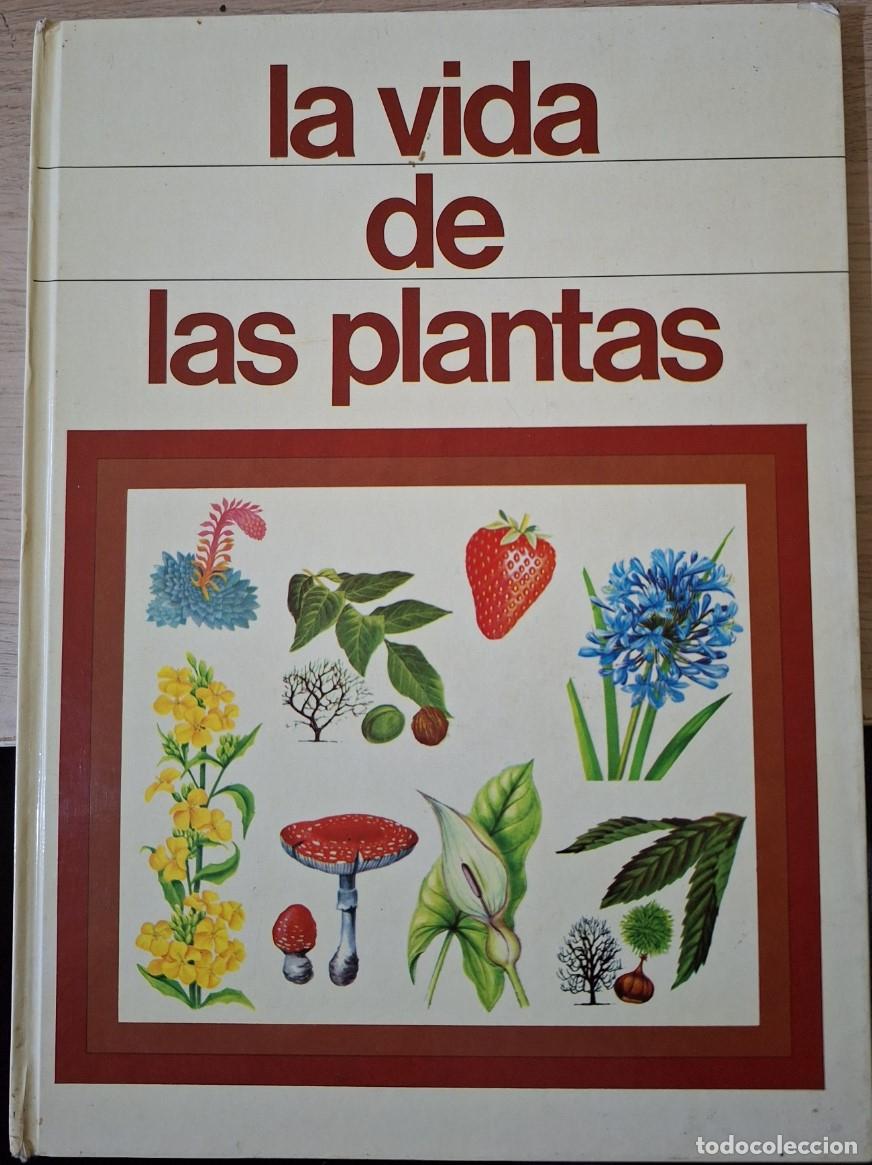 Libros de segunda mano: LA VIDA DE LAS PLANTAS. - SHEEHAN, Angela. - Foto 1