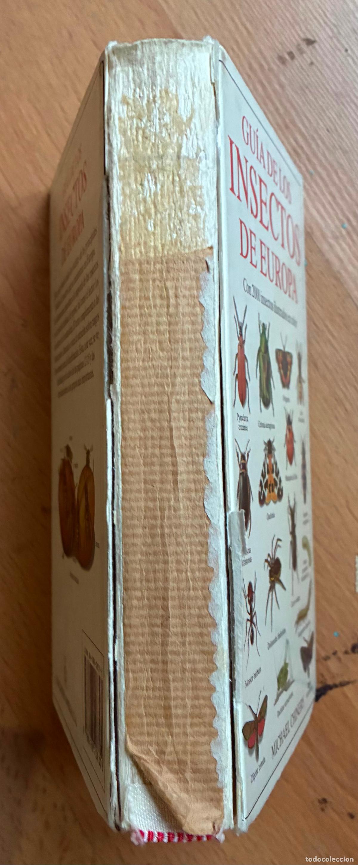 Libros de segunda mano: GUIA DE LOS INSECTOS DE EUROPA, Michael Chinery, Omega - Foto 7