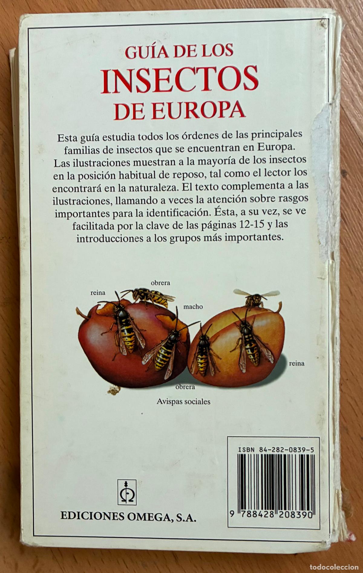 Libros de segunda mano: GUIA DE LOS INSECTOS DE EUROPA, Michael Chinery, Omega - Foto 9