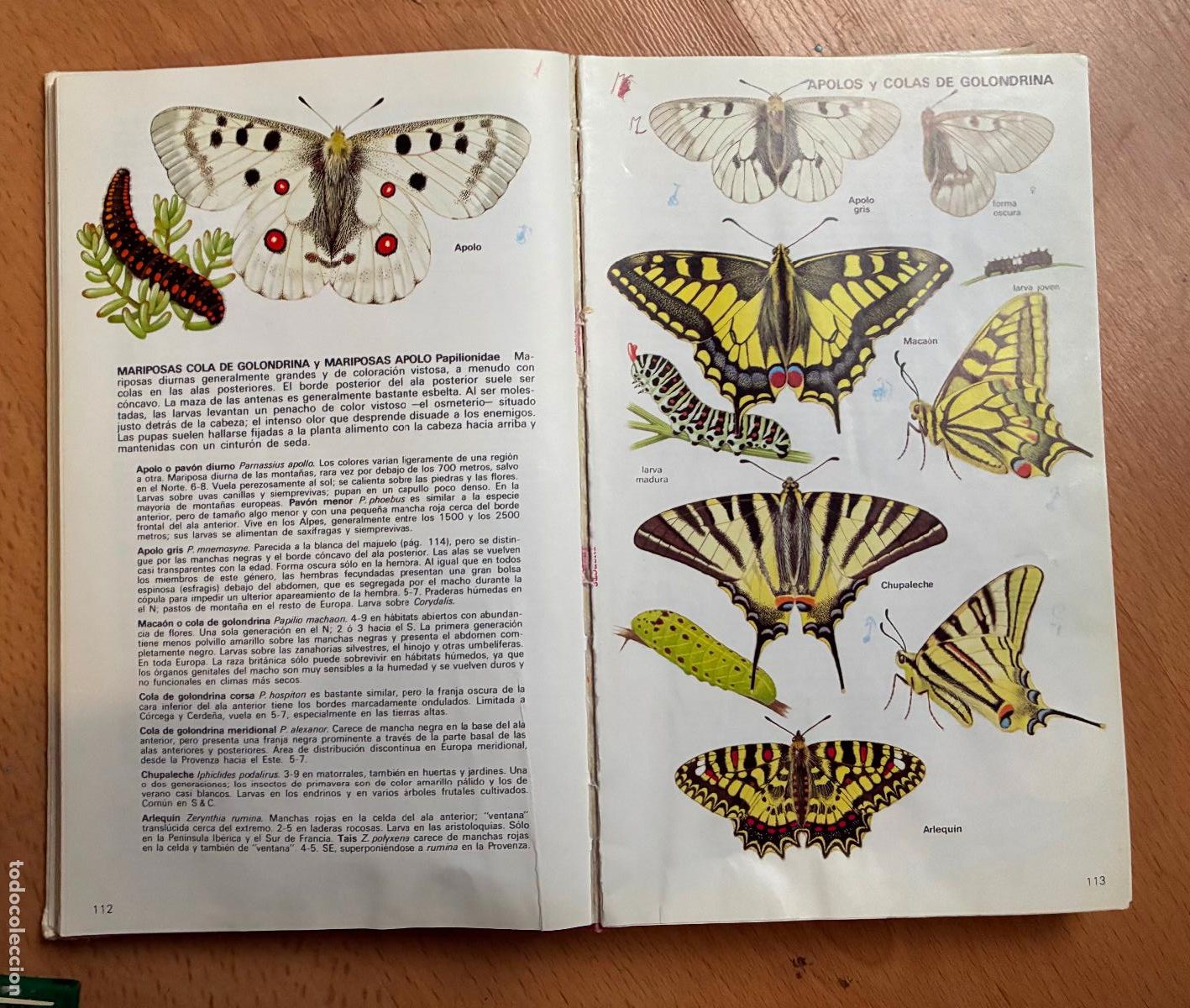Libros de segunda mano: GUIA DE LOS INSECTOS DE EUROPA, Michael Chinery, Omega - Foto 10