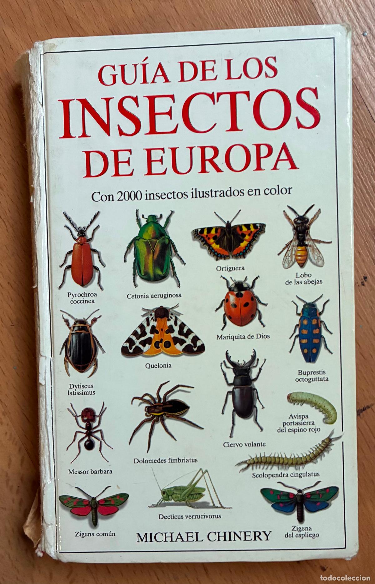 Libros de segunda mano: GUIA DE LOS INSECTOS DE EUROPA, Michael Chinery, Omega - Foto 1