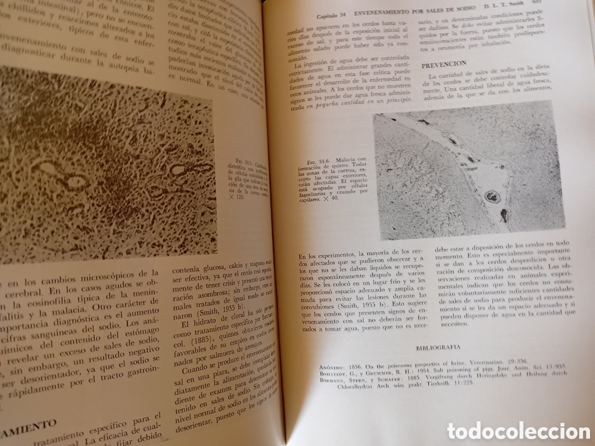 Libros de segunda mano: ENFERMEDADES DEL CERDO - Foto 4