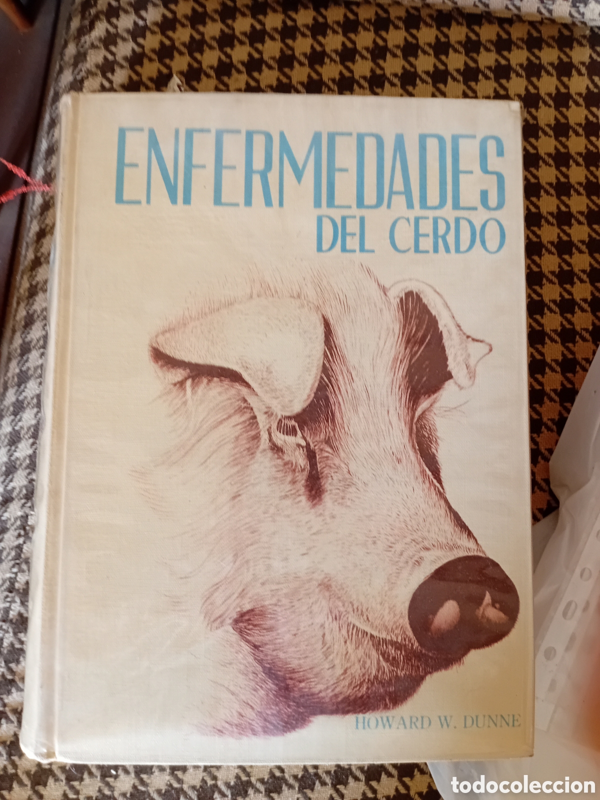 Libros de segunda mano: ENFERMEDADES DEL CERDO - Foto 1