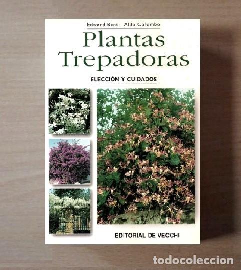Libros de segunda mano: PLANTAS TREPADORAS. ELECCION Y CUIDADOS. JARDINERIA. EDWARD BENT. ALDO COLOMBO.