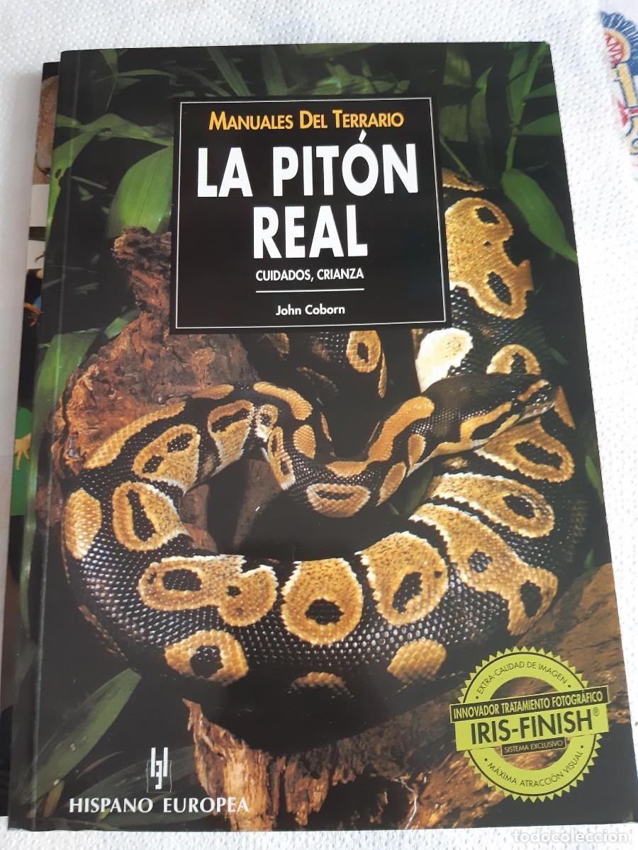 Libros de segunda mano: Manuales del terrario. La pit&oacute;n real Coborn, John - Foto 1