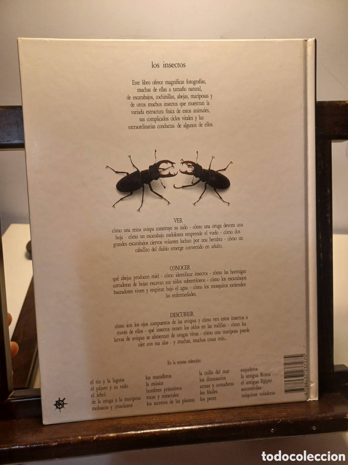 Libros de segunda mano: Los insectos/ VVAA/ Biblioteca Visual Altea, 1991 - Foto 2