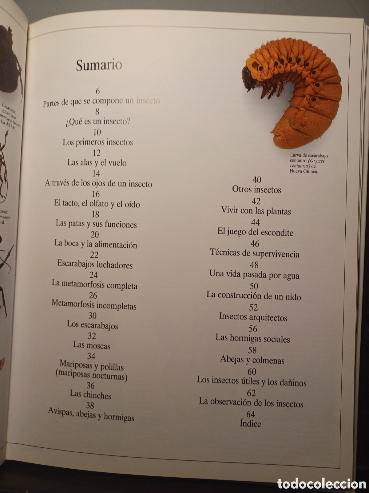 Libros de segunda mano: Los insectos/ VVAA/ Biblioteca Visual Altea, 1991 - Foto 4